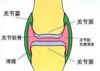 骨病早知道 什么是关节内骨折 有哪些症状 快资讯