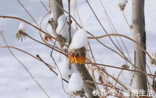 肾阴|谈笑间,肾精灰飞烟灭,怎样才能真正补到肾精?