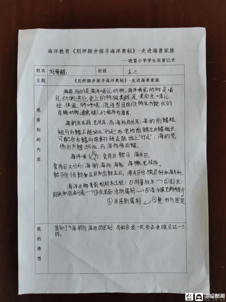 人与自然|人与自然和谐共生 青岛市崂山区晓望小学开展海洋教育系列活动