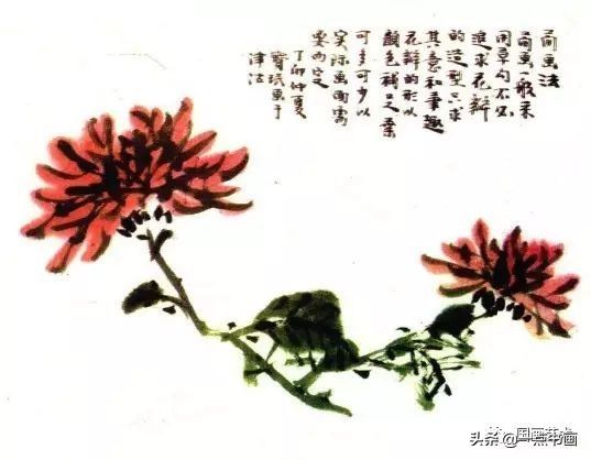 写意菊花@写意菊花的各种画法示范