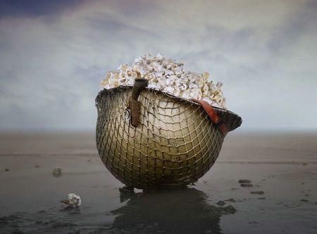  巡洋舰|英国帝国战争博物馆里为何珍藏着一个大猪头?