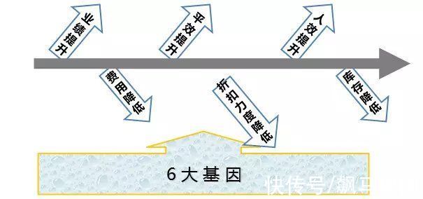 商铺|商业地产如何进行精细化运营？