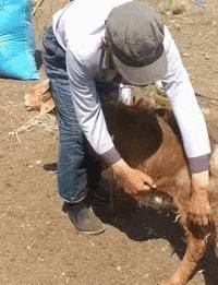 男生|为什么很多男生其貌不扬,但女友却很漂亮呢?网友神回复亮了哈哈哈哈