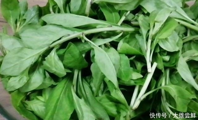 鲜美|这个菜的叶子是个宝,简单炒一炒鲜美又好吃,孩子常吃对眼睛好