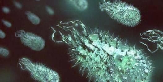 火星上的任何物质能送回地球吗