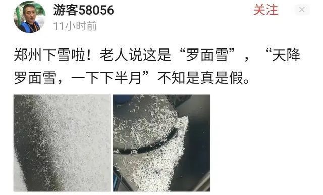 环天顶弧|天上粮仓漏了？河南多地下起了“长粒香型”大雪，不是雪花是雪棍