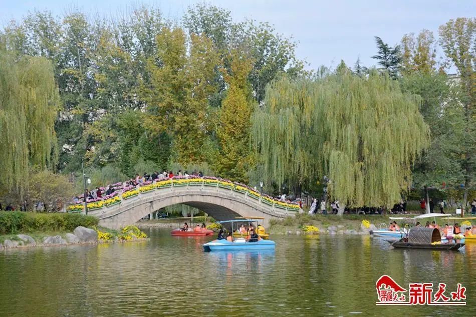 马跑泉|金秋菊展 马跑泉公园户外写生画出绚丽秋天