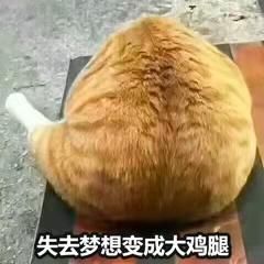 热度|抢注商标，是蹭热度还是不要脸？