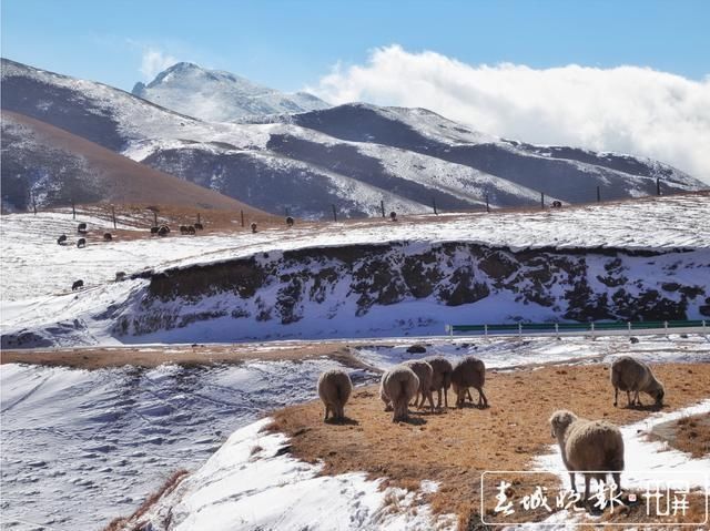 会泽草山：一个能尽情赏雪、玩雪的地方