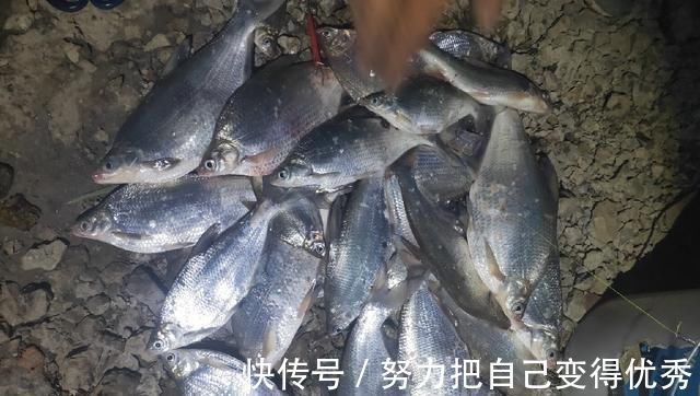 技巧|野钓鳊鱼时的实践技巧,老钓友详细讲解,非常实用