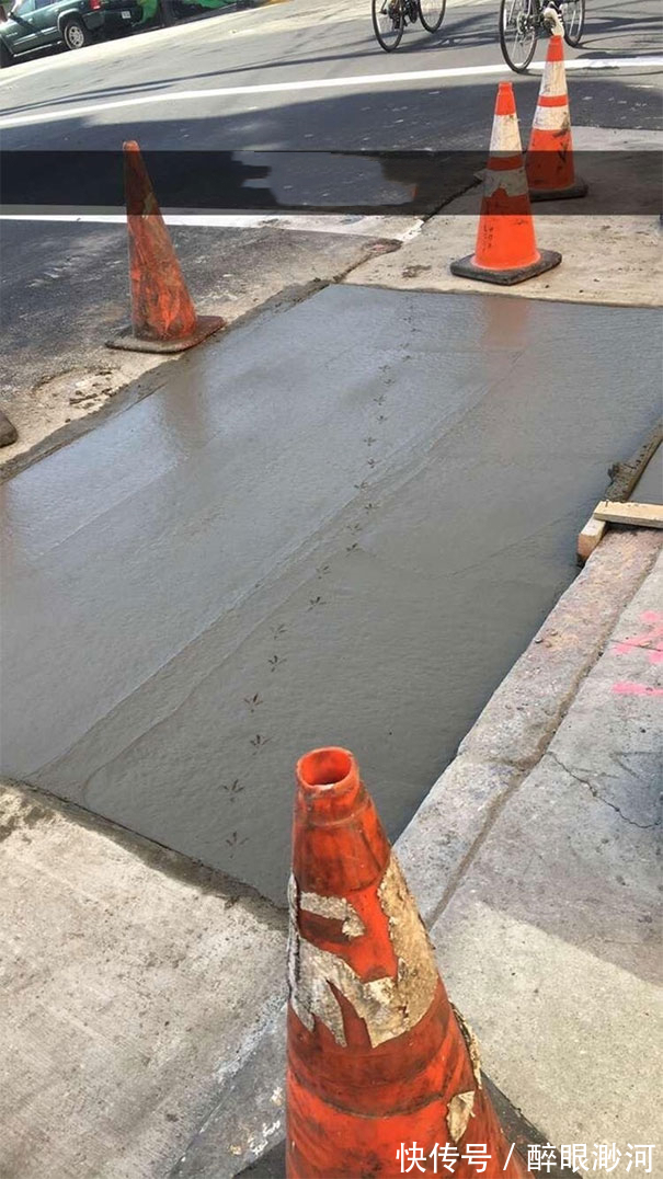 |盘点人们遇到的那些既倒霉又搞笑的时刻,看完不厚道地笑了