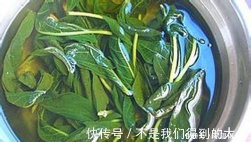 芝麻|这道菜,很多人只吃种子,其实叶子就是宝贝,20斤供不应求