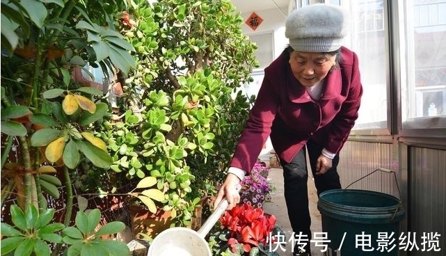 病虫害|养花有讲究，遇到3种情况，只怪你太勤快懒一点，花卉长得更好