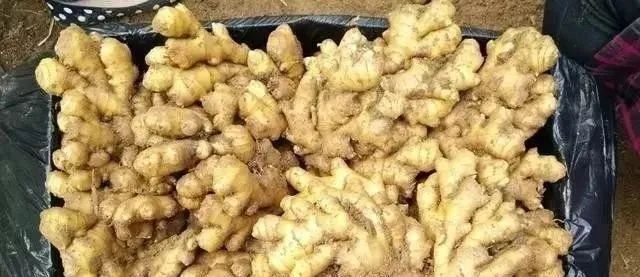 膝关节|秘方来了！一碗老陈醋，赶走头晕手麻，和颈椎病、肩周炎说拜拜