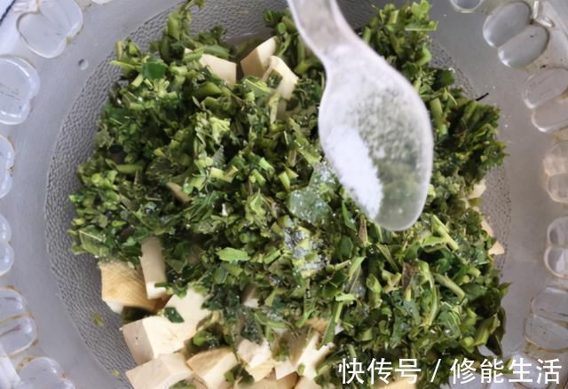 香椿芽|春天，豆腐和它才是绝配，不炒也不煎，焯下水拌一拌，太解馋了