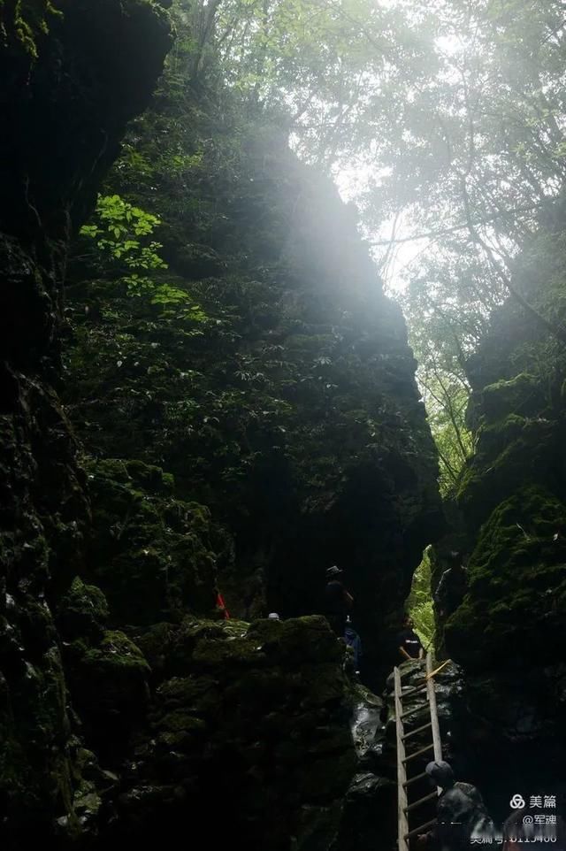 岩壁|探秘鬼斧神工的汉中“大屋基”地缝峡谷，秦巴深处的地质奇观