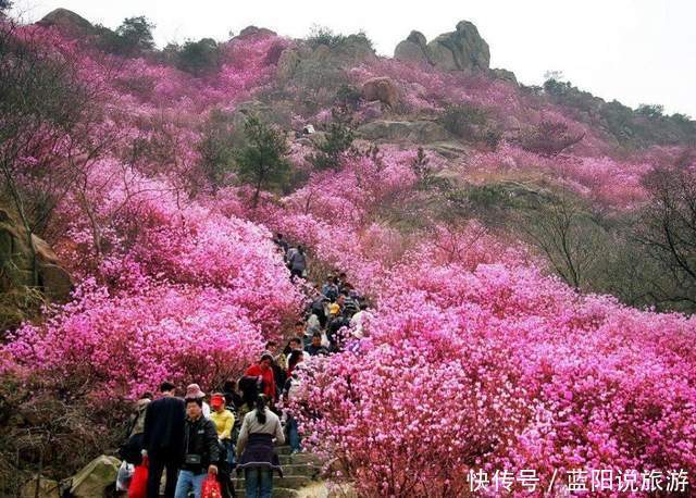 老年|2021年春季国内赏花（二）桃花，推荐16个打卡地