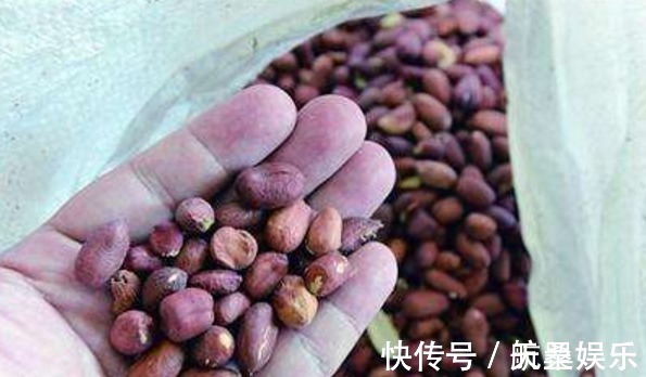 黄曲霉素|煮粥别放这3件小东西,每吃一口,就会易生病,尤其是家庭主妇!