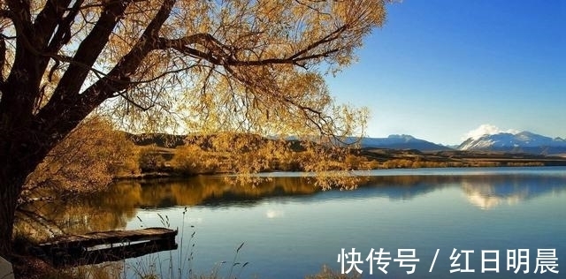 旧爱|11月上旬期间，前缘重返，将与旧爱出双入对，喜结连理的4大星座