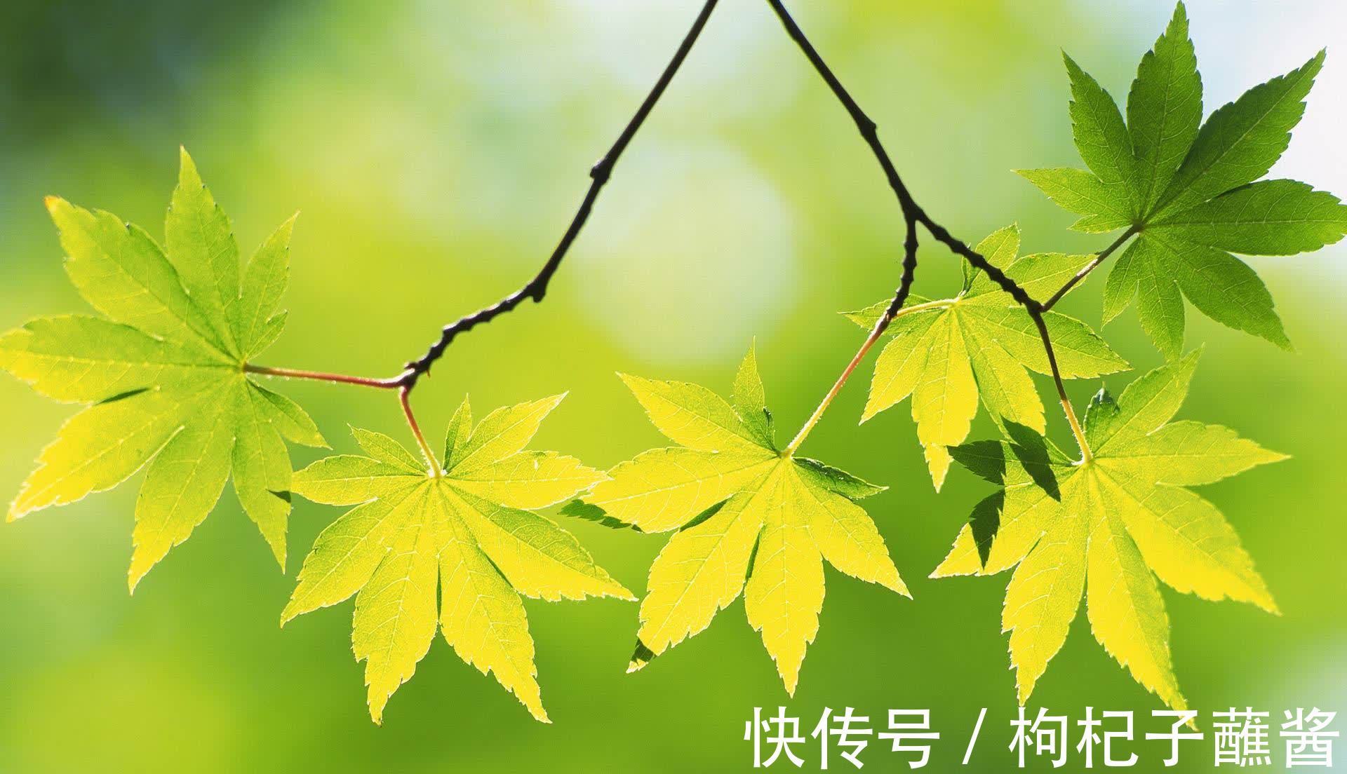 农夫与蛇|做人要厚道,但是对待三种人要刻薄,不能心软