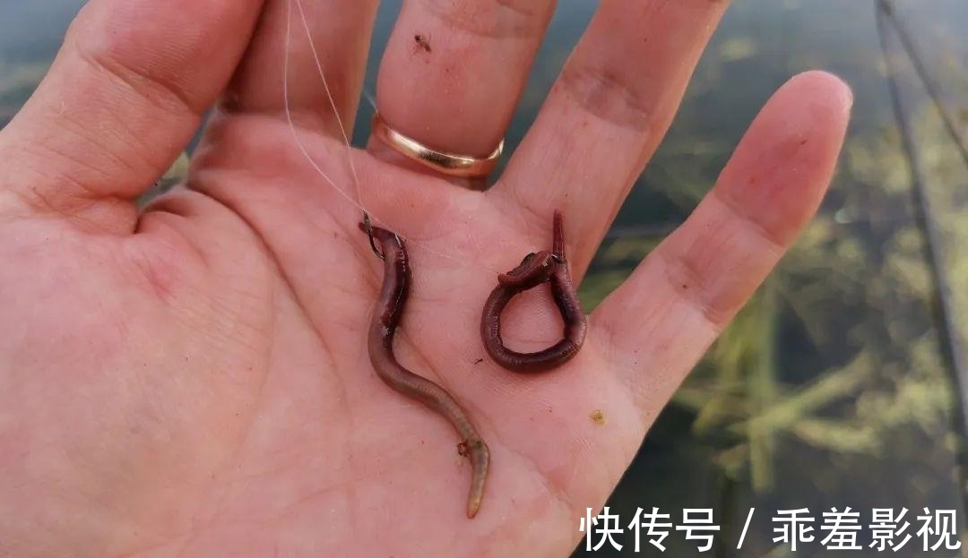 上几条鱼就停口?冬季野钓最大的难题,唯有这样解决才对路!