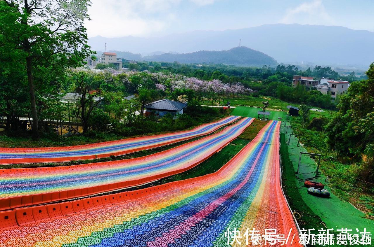 天空之镜|你想去原始森林探险吗这里有最大的树冠长廊、玻璃桥和天空之镜