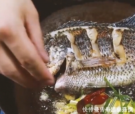 罗非鱼|唯一让中国吃货退却的鱼!营养比甲鱼高,全身是宝,只要4元一斤