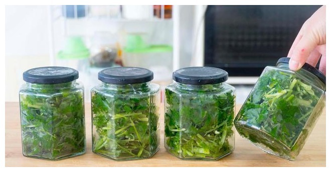 香菜保存有诀窍,3种储存方法,随吃随取,不发黄不腐烂,去试试