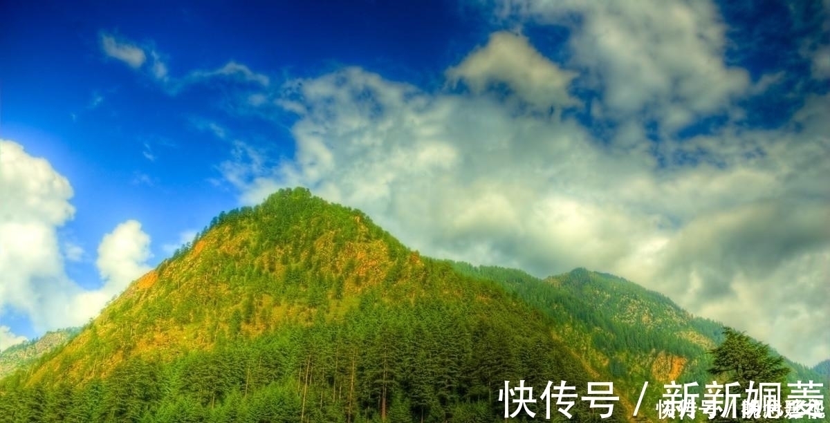 悲凉@悲凉是相通的,全诗仅仅20字,李白道出悲凉的最高境界,堪称经典