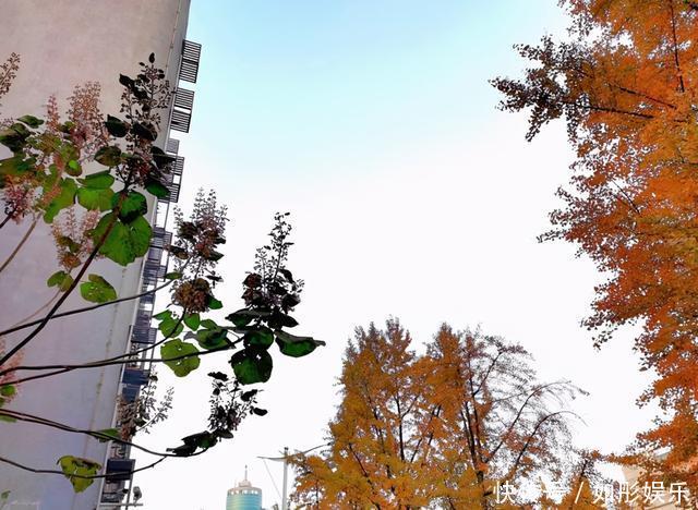 真正厉害的人,都深谙示弱之道,善于以柔克刚