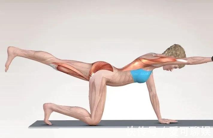 背部|练瑜伽，如何加强下背部力量？这8个动作超好用！（附解剖图）