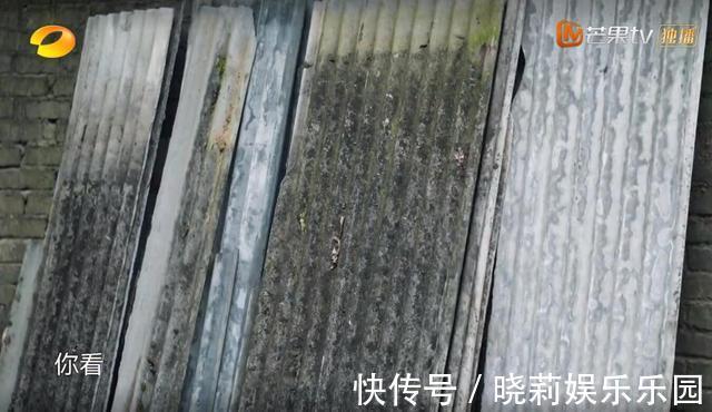 《向往的生活》顺利到不太真实,“下期预告”一细节戳破节目套路