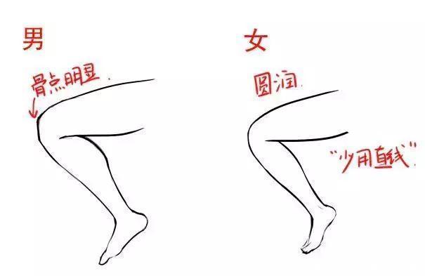 结构简|怎样才能画好人物腿部结构?零基础小白必看的干货教程