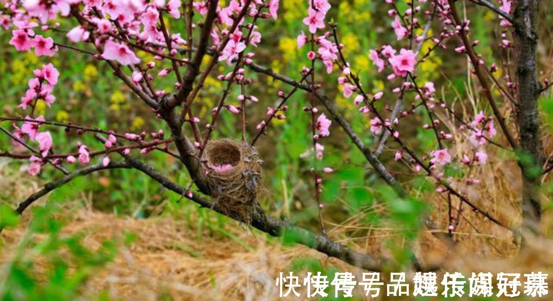 宋神宗@王安石一首抒情小诗,只是那么淡淡着笔,通篇美得犹如一幅山水画