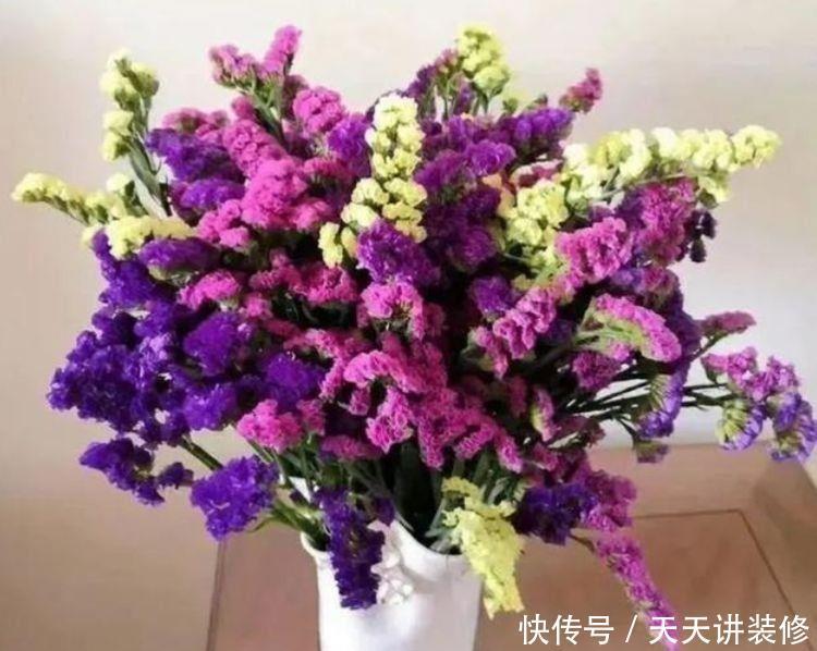 几款花卉,好养又漂亮,一养就上瘾颜值超高的