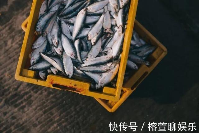 长寿|少吃这3种肉,离长寿更近一步!健康吃肉四准则,你一定要知道