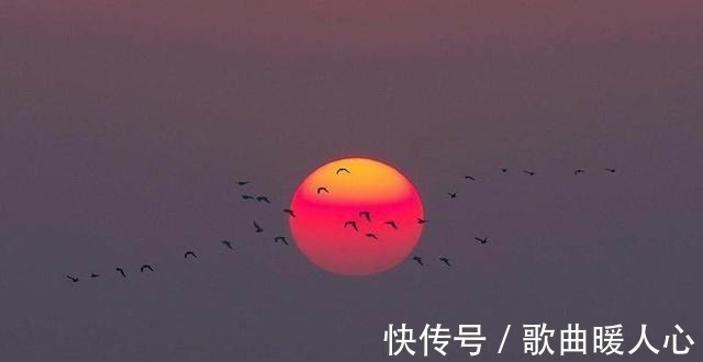 张长弓&两副对联都是千古名对,但是都有瑕疵,很少有人找到!