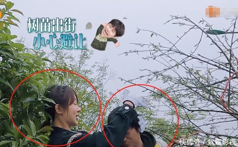 密码 “收视密码”不白叫!杨紫现身《向往5》,新一期收视让人乐开花