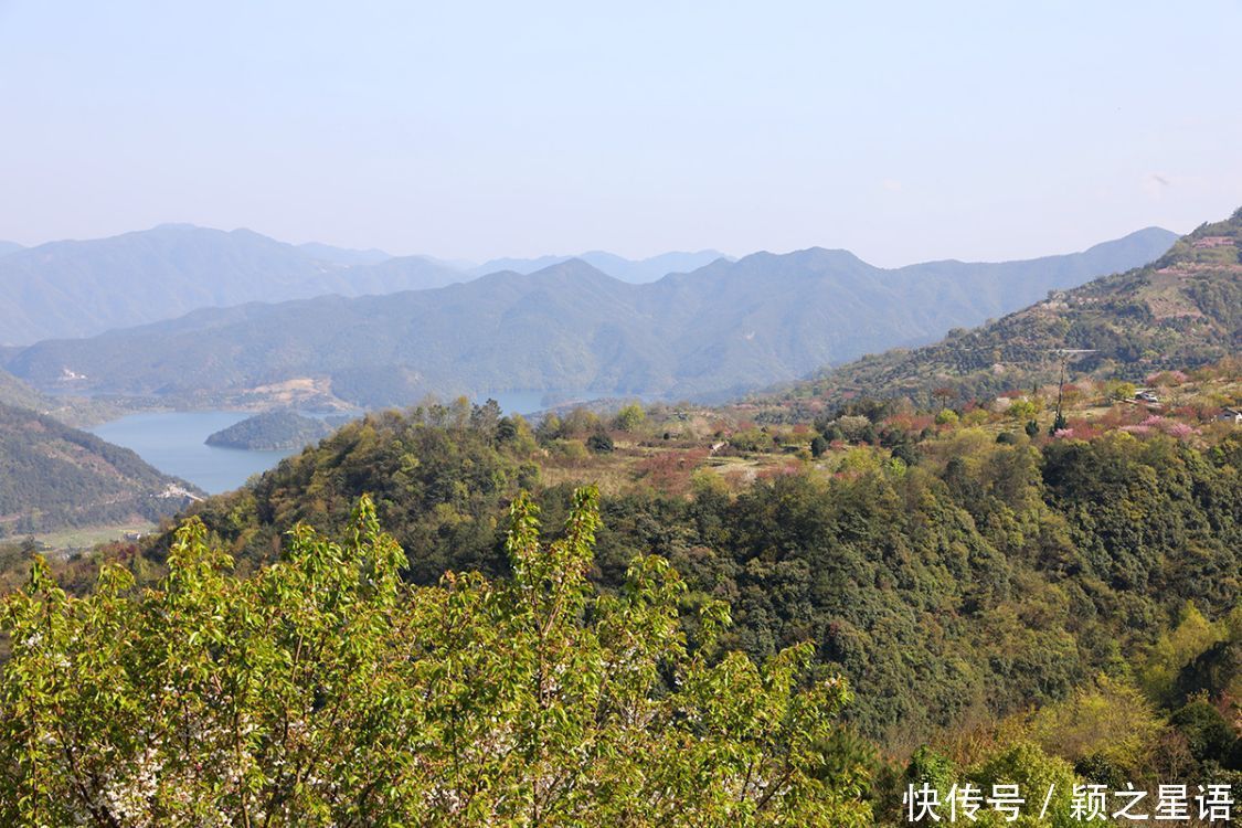 高山村落，樱花盛开，天空之境，天上人间