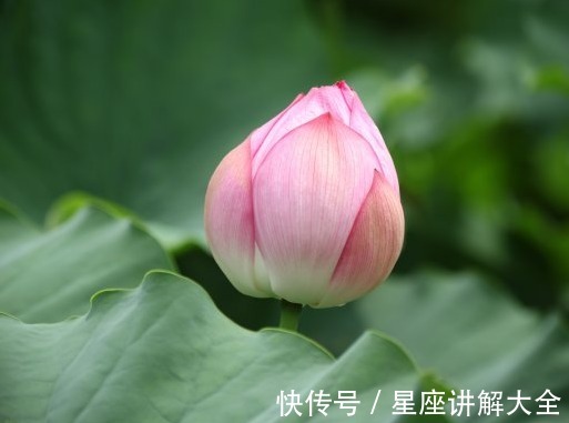 梅花香|步入9月中旬，4属相吉星庇佑，事业进步，升职加薪，日子红火