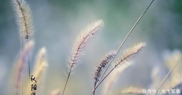 水调歌头|水调歌头华夏缅雄才