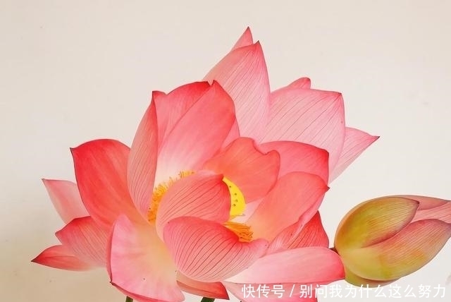 林清玄|林清玄:致富之道无他,惜缘、布施而已