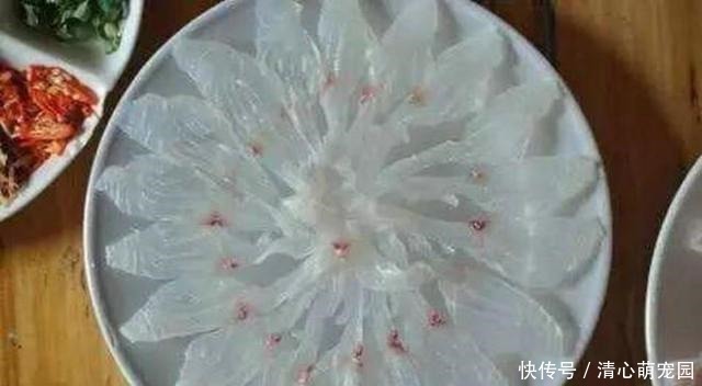 草鱼和鲤鱼的后代?这种怪鱼只有西南地区才有,人称“青竹鲤”