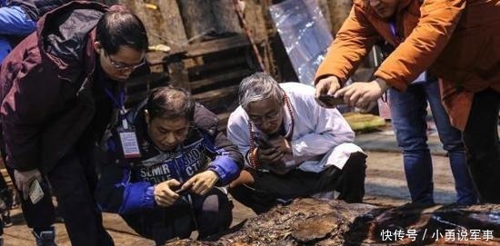 专家|海昏侯墓有200斤黄金,专家提取墓主DNA后,如今怎样了