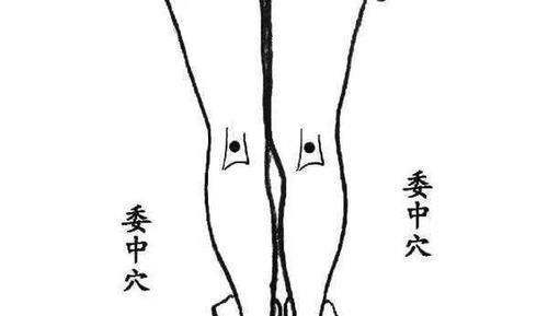  能调|最齐全的“穴位拍打操”，能调百病！做自己最好的医生，动起来吧