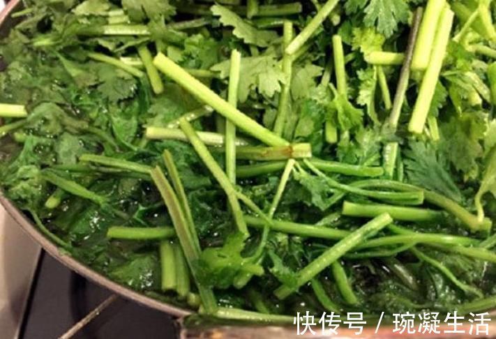 储存香菜,别再放冰箱了!20年大厨教你,放再久都不坏,翠绿新鲜!