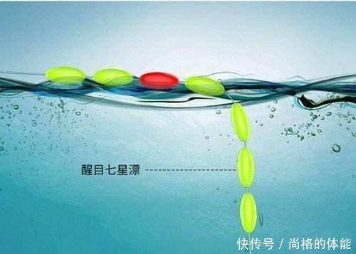 方法|七星漂逗钓的两种方法,你会用吗