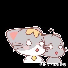 房屋|买房拿到产权证要去装修被拦截物管房子是我们公司的,是不卖的