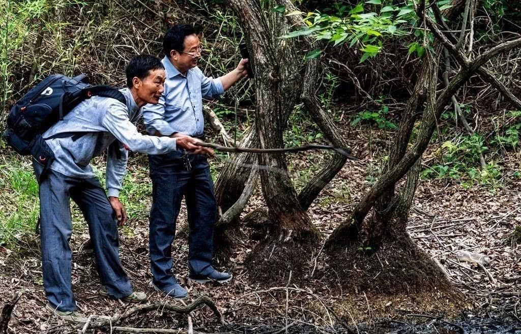 中年|金寨千年古寨，能一览无余的看梅山！