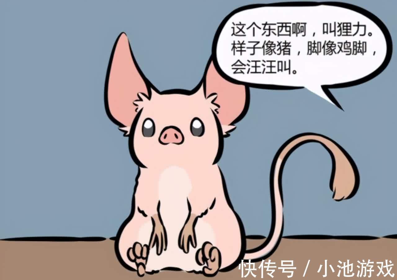 猴哥|非人哉:土地公公被九月捡回了家,可能会和一个老角色发生点啥!